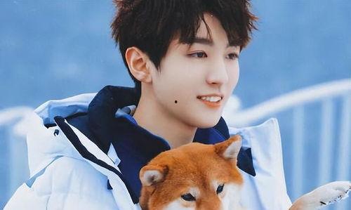 吃瓜娱乐圈王俊凯