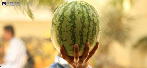 娱乐圈吃瓜用什么看,揭秘明星动态，轻松掌握娱乐热点