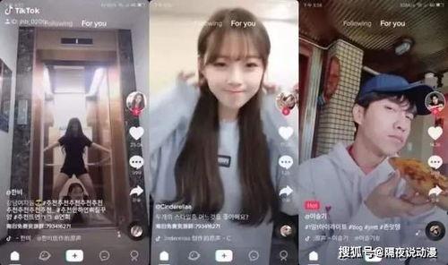 娱乐吃瓜酱虐猫博主小说