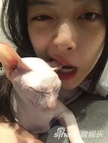 娱乐吃瓜酱虐猫博主小说